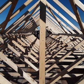 Case Study Image 1
